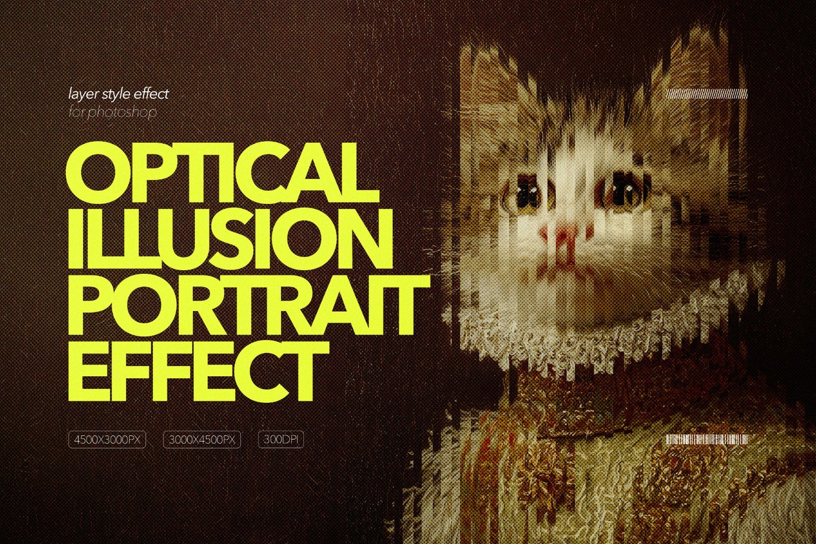 Optical Illusion Portrait Effect
