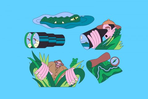 Green Handrawn Jungle Exploler Asset Illustration