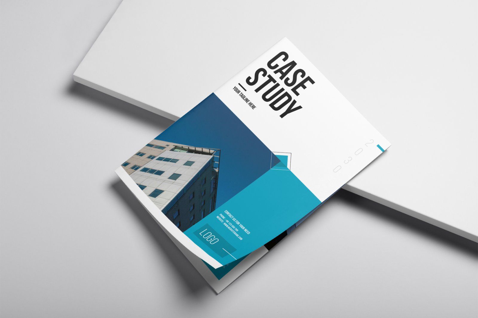 Case Study Template