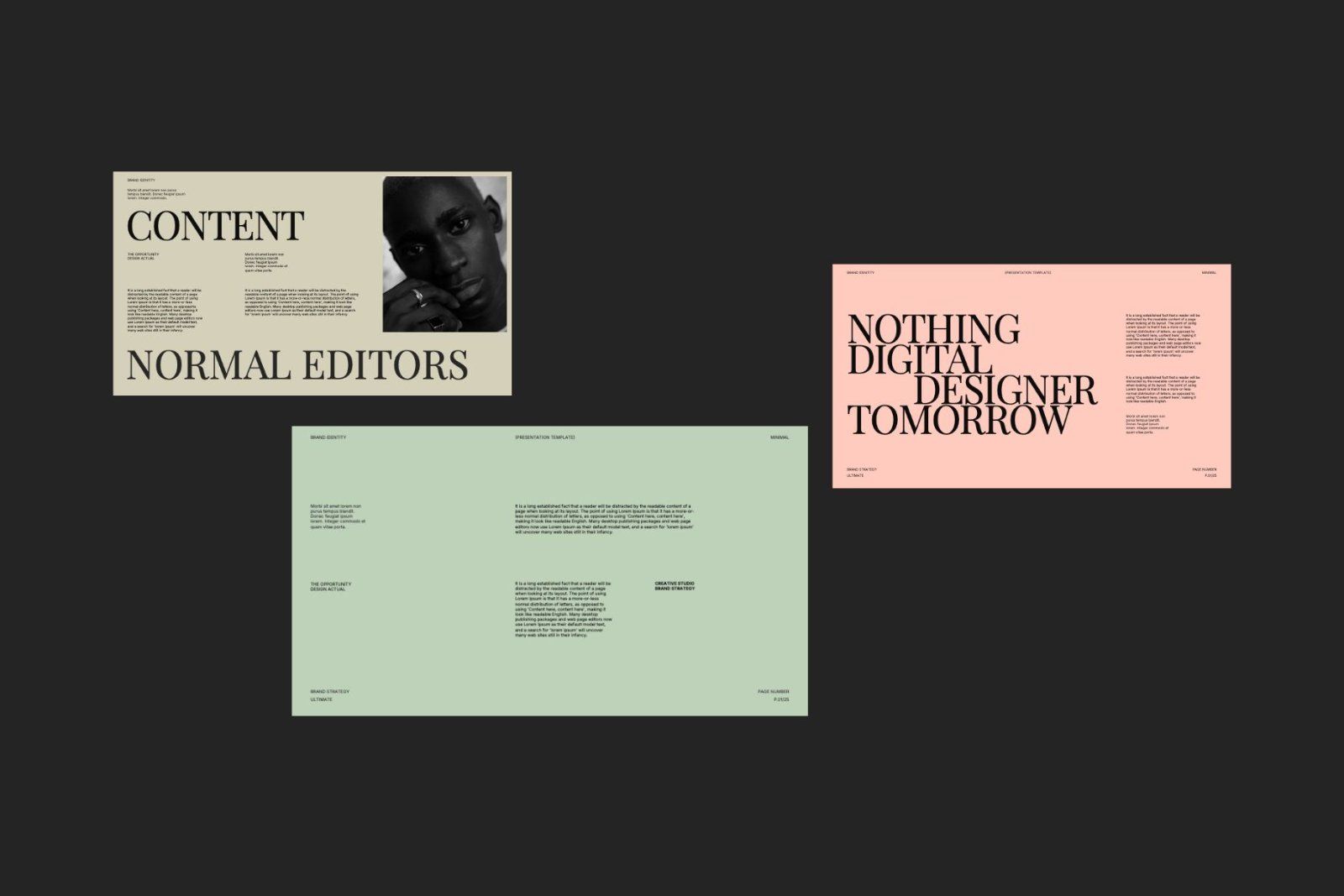 Roberto - Brand Identity Template