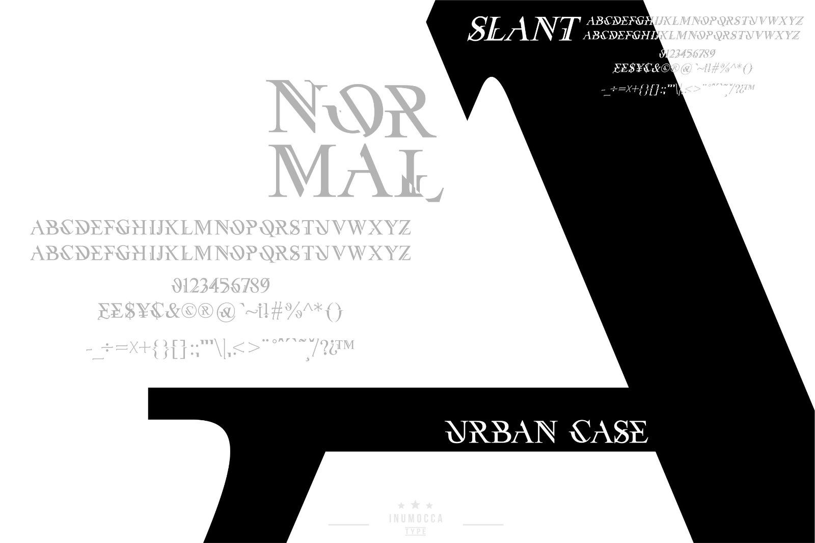 UrbanCase — image 2