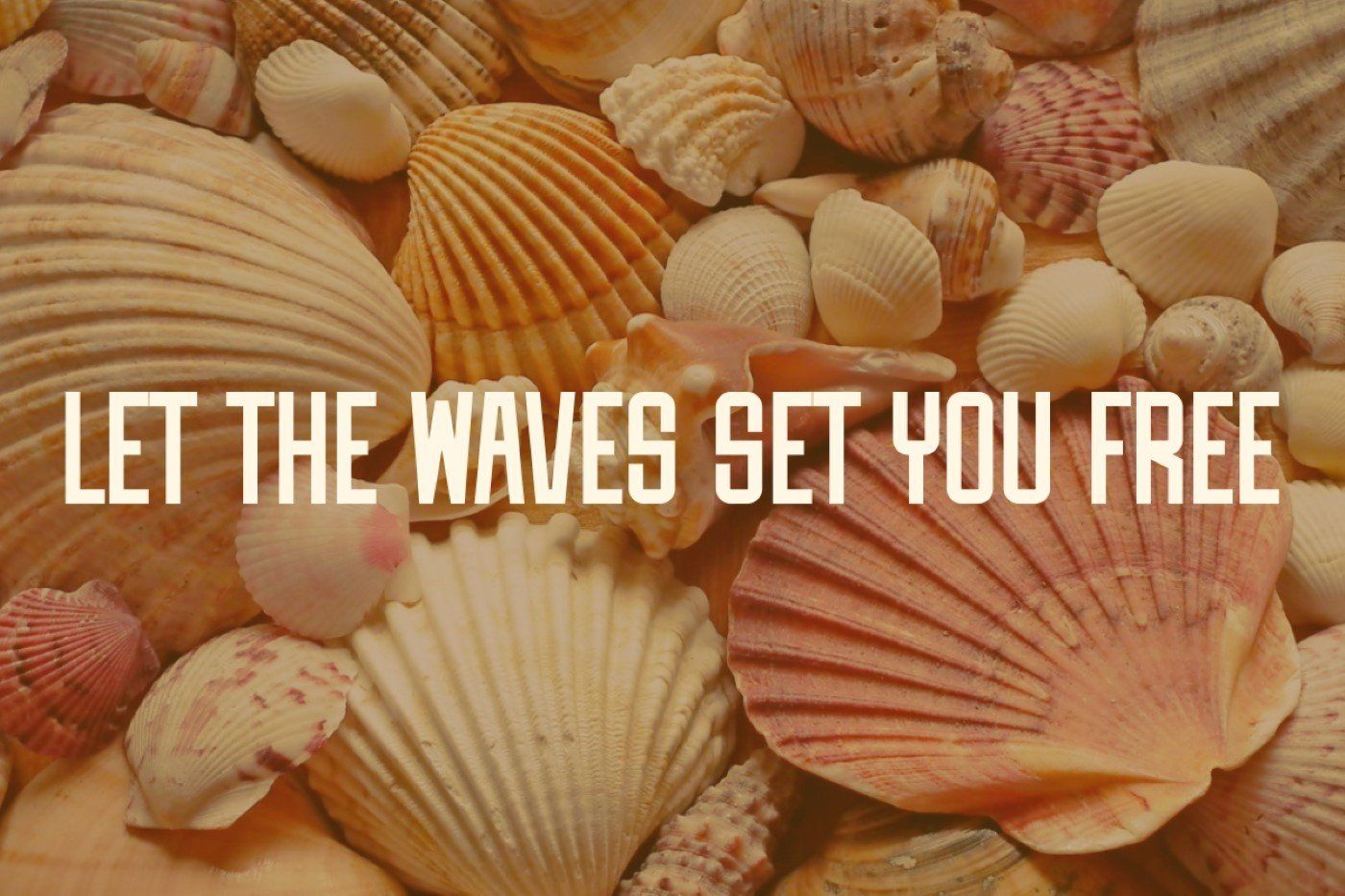 Clamshell - Condensed Vintage Font — image 3
