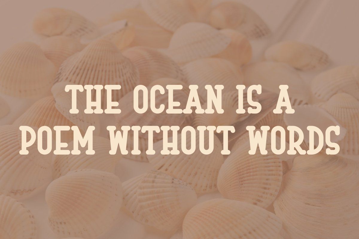 Vintage Clamshell - Playful Font — image 4