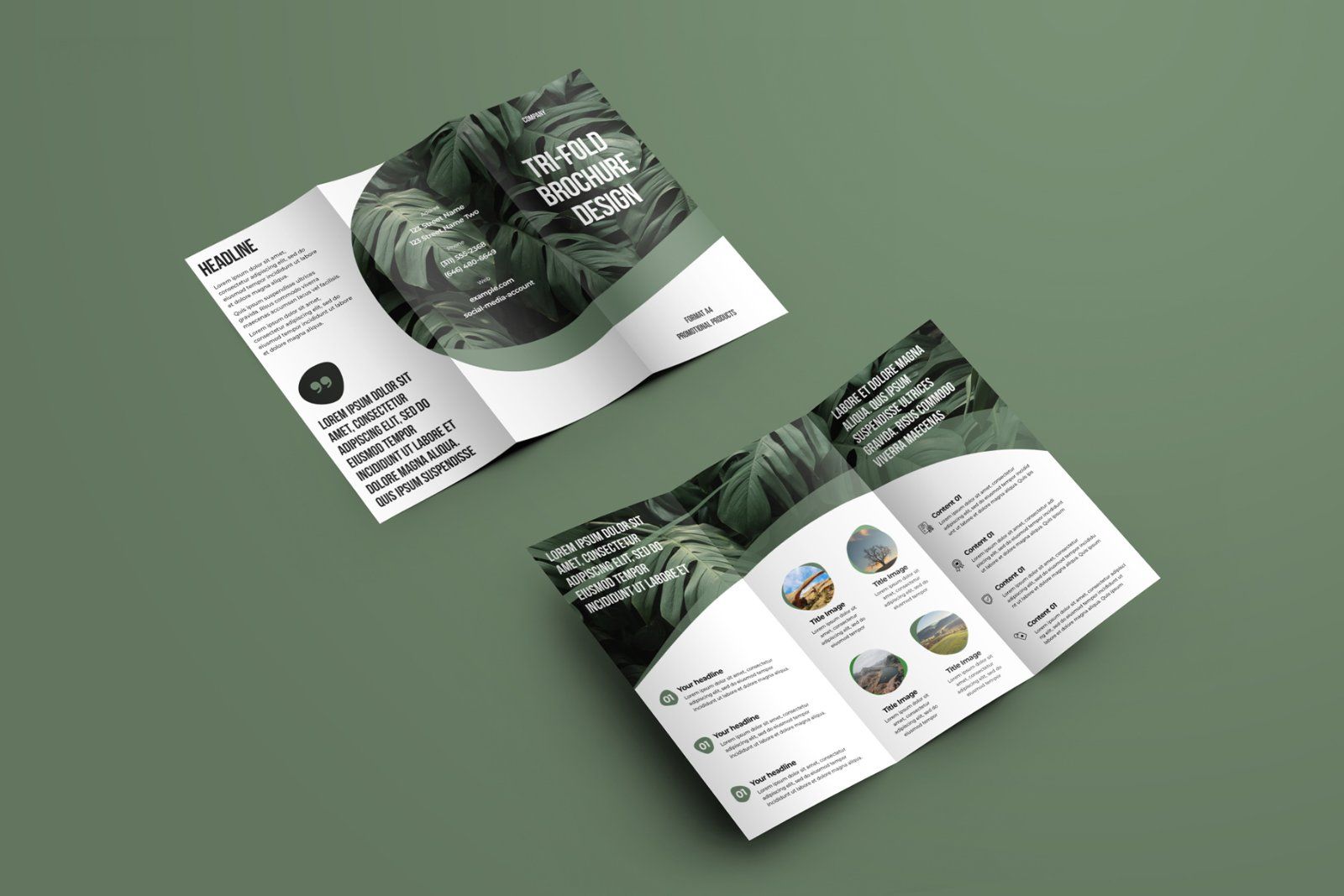 7 Mockups Leafleat DL Trifold Brochure