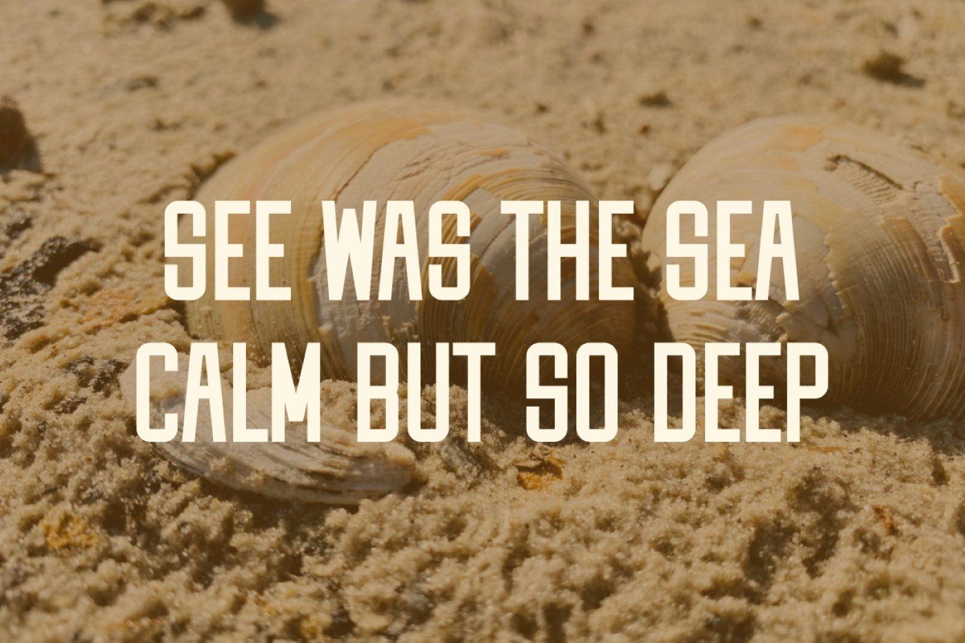 Clamshell - Condensed Vintage Font — image 5