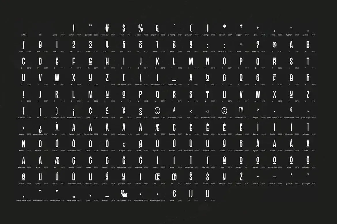 Blandit Display — image 9