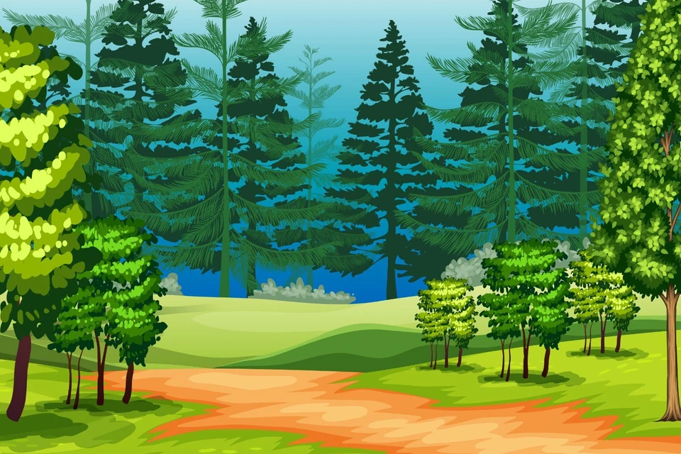 A beautiful nature landscape