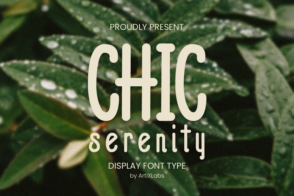 Chic Serenity Display