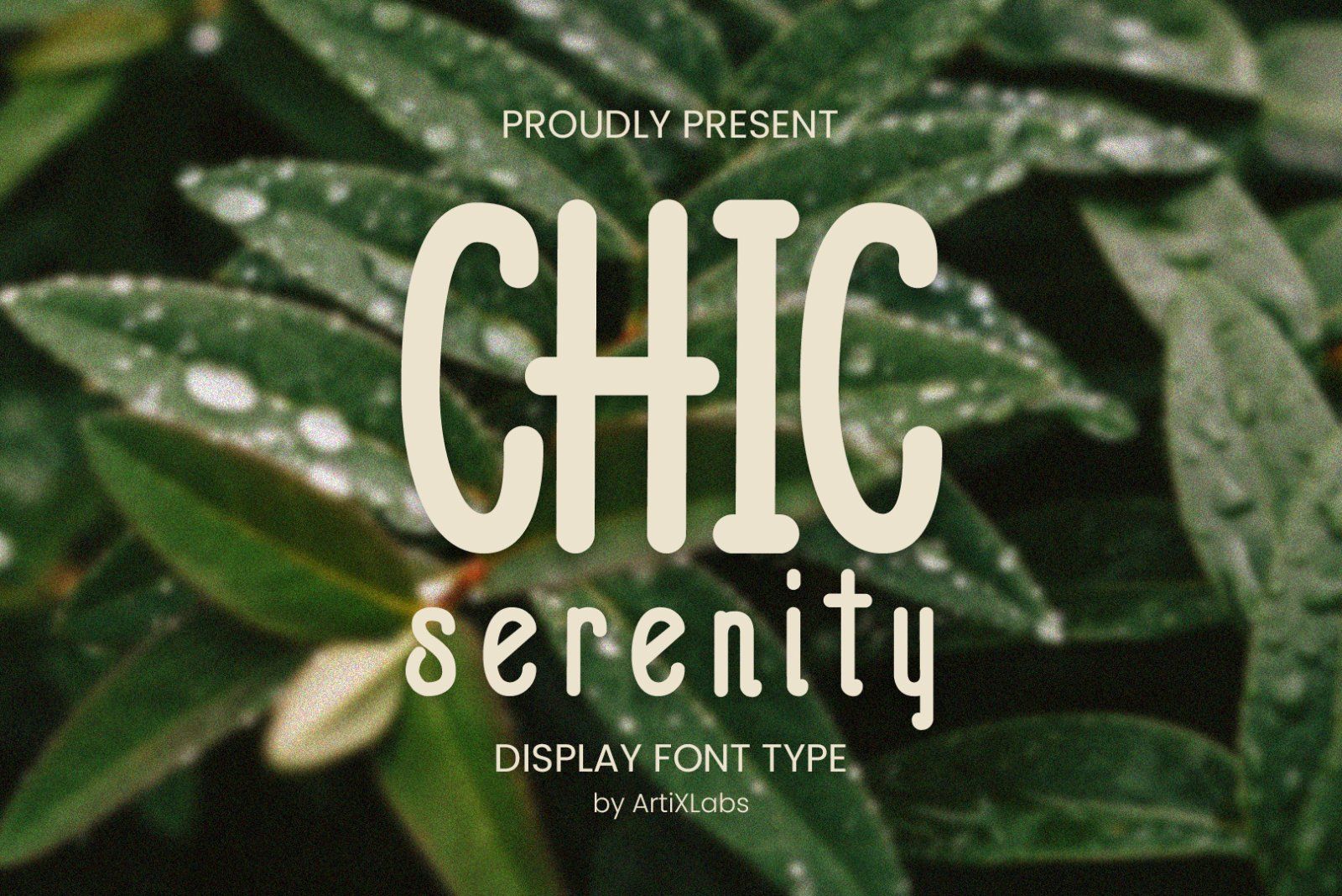 Chic Serenity Display — image 1