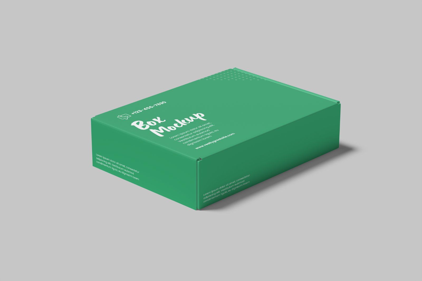 Mailer Box Mockup