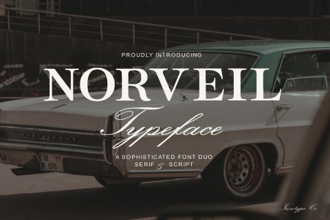 Norveil - Font Duo (Serif and Script)