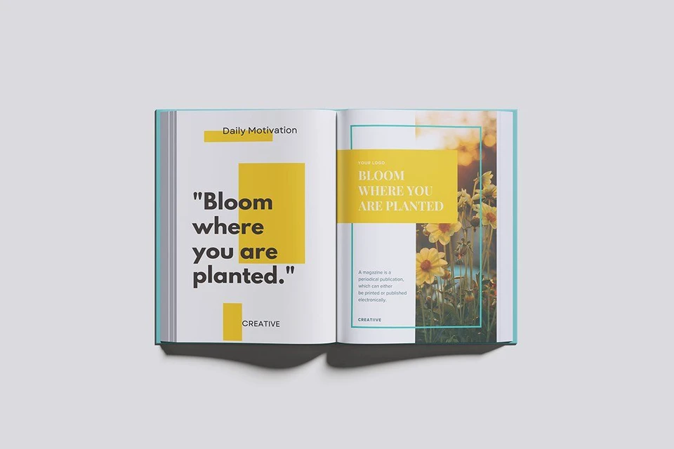 BOOK MAGAZINE (4 Objects)