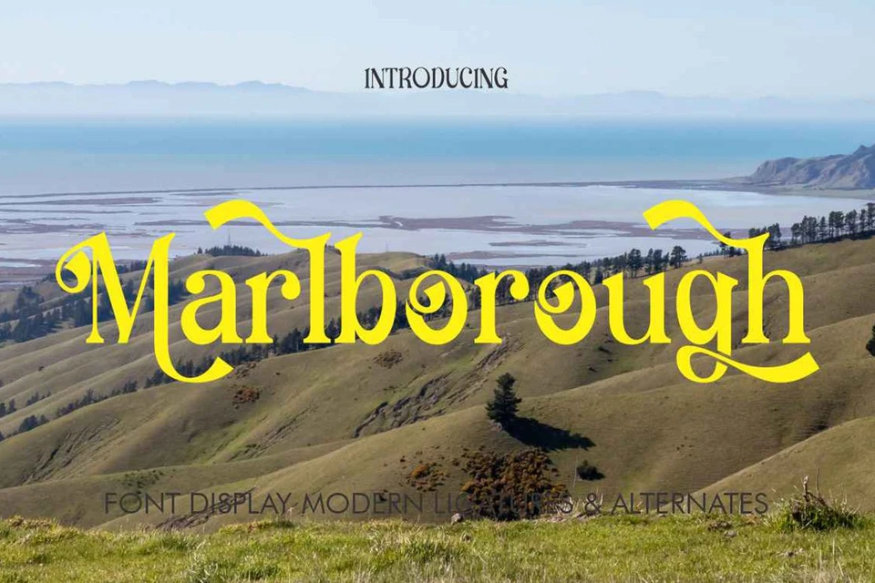 Marll Borough City