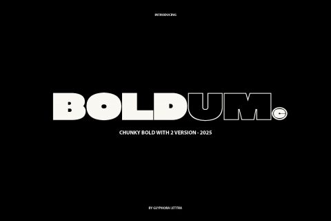 Boldum - Bold Display Sans Serif Font