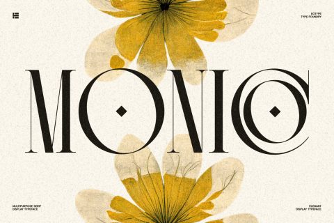 Monico Font
