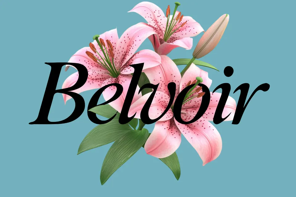 Belvoir – Modern Classy Serif Font