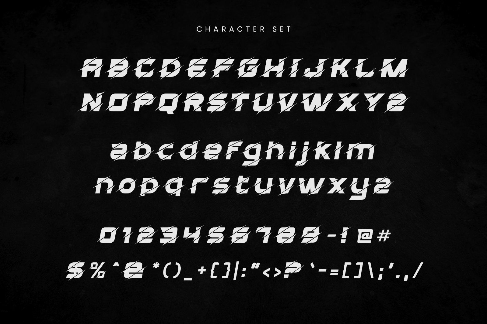 Liger - Modern Sport Display Font — image 9