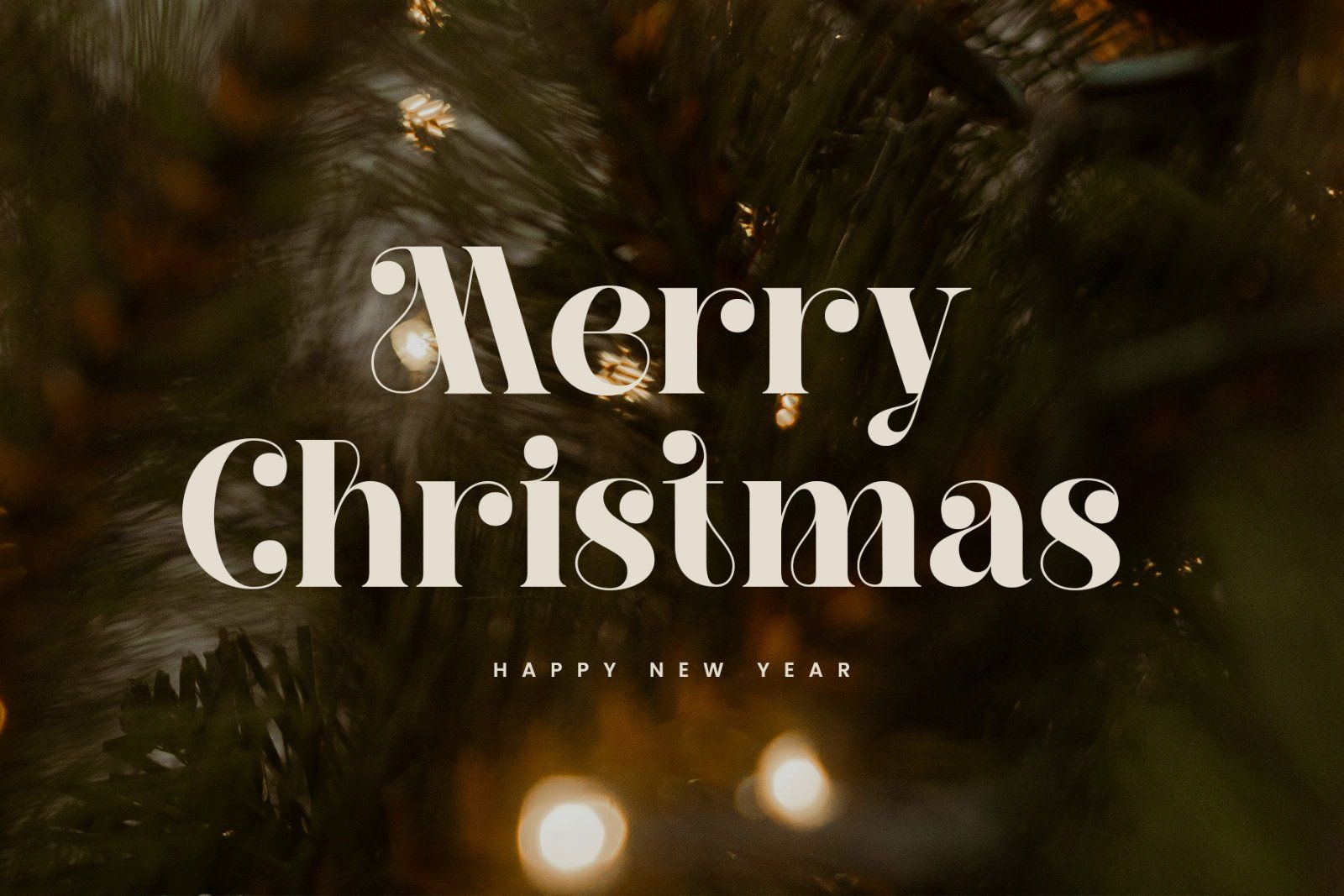 Belgina | Modern Unique Serif