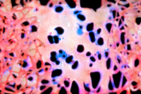 "Just fire and glue" elements