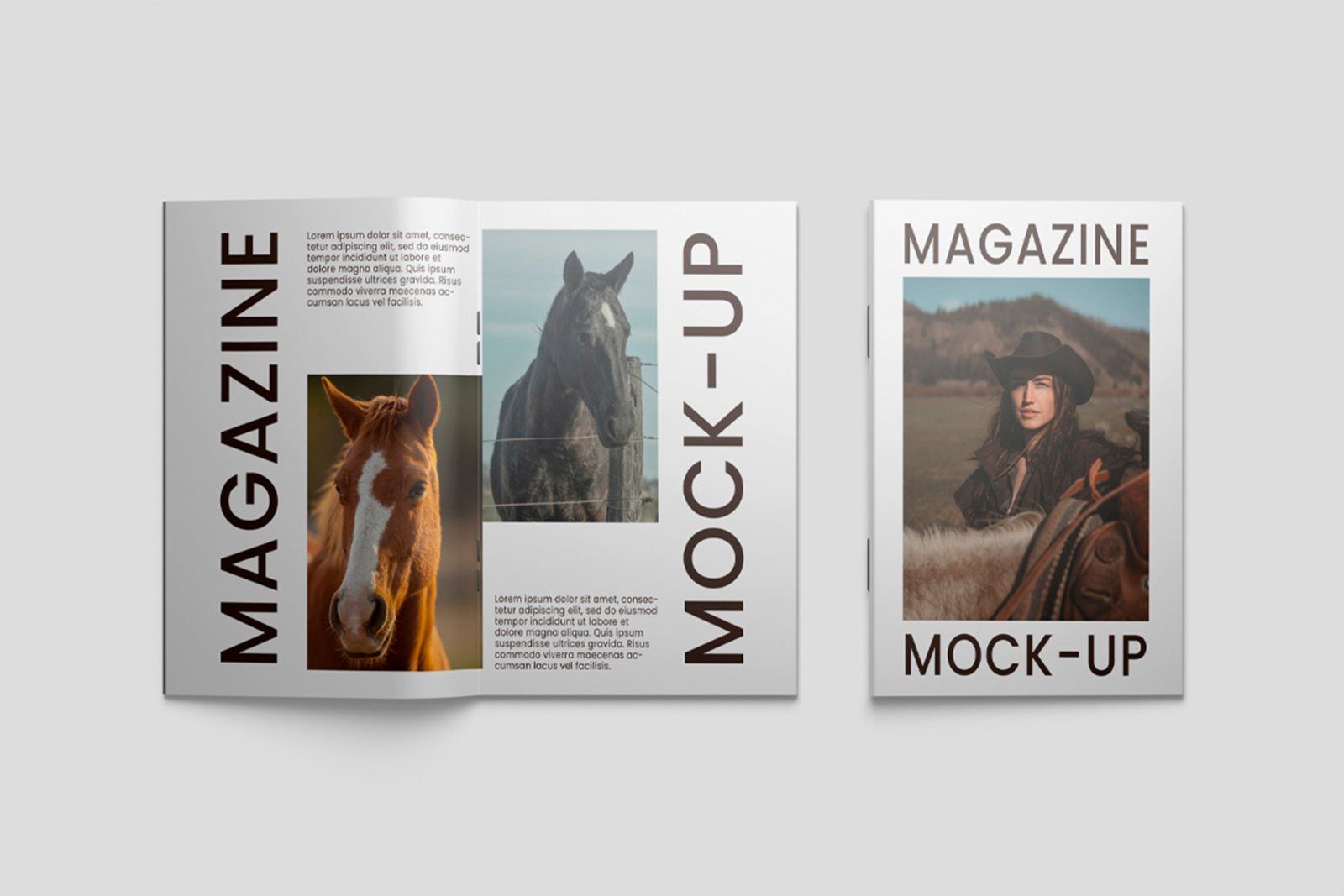 Magazine Mockup — image 2