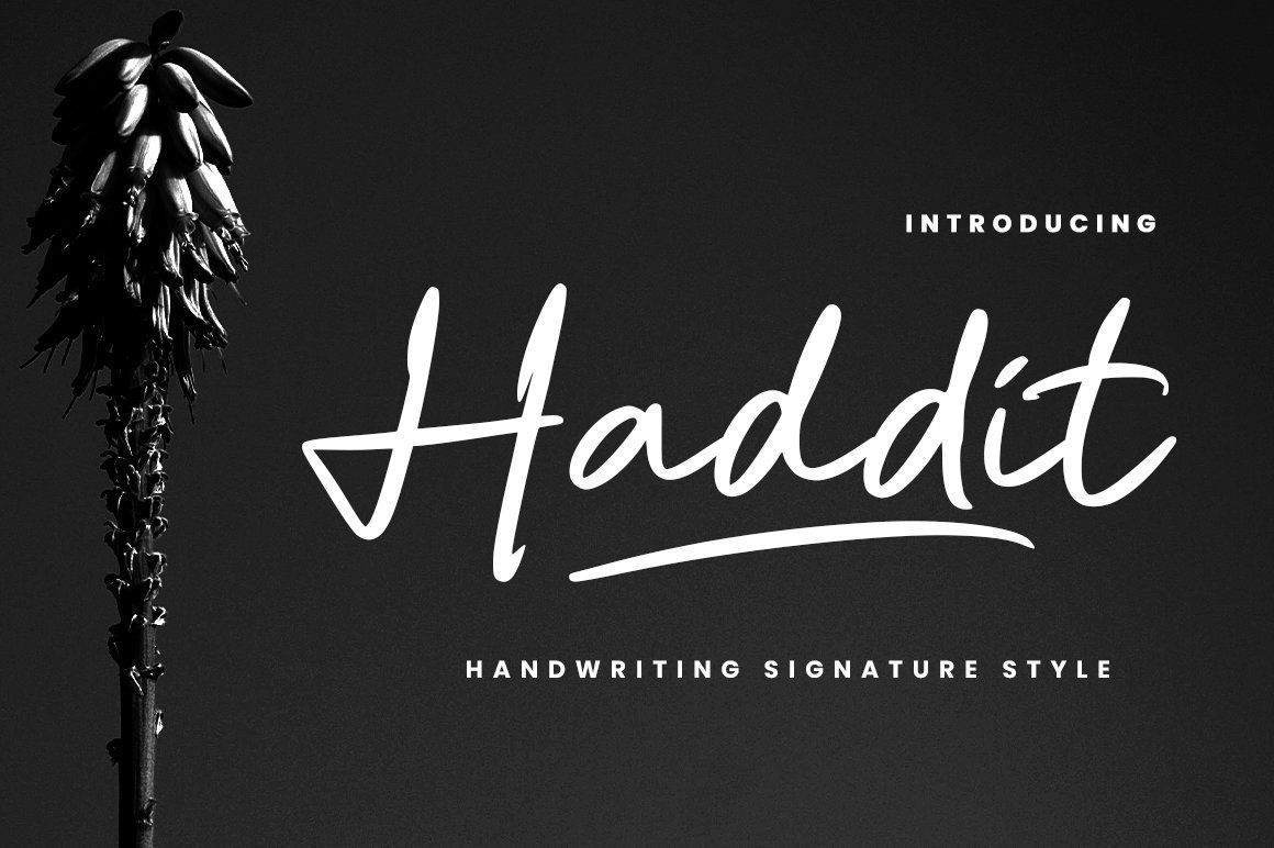 Haddit — image 1