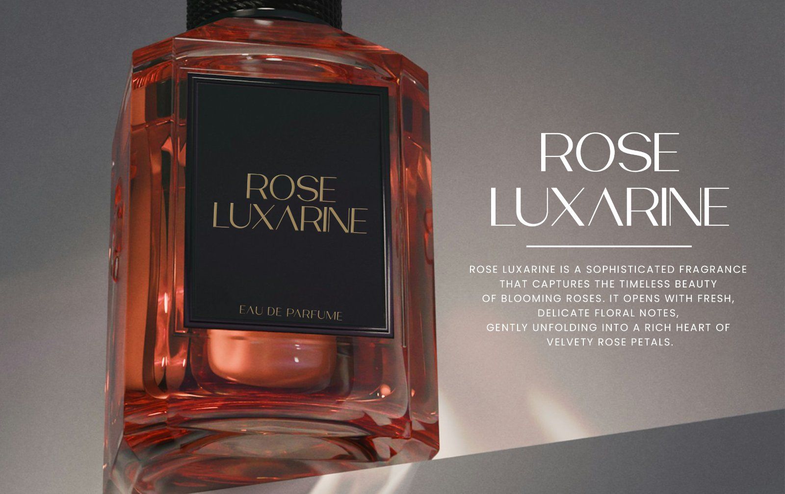 Caveline | Minimalist Luxury Sans Serif Font