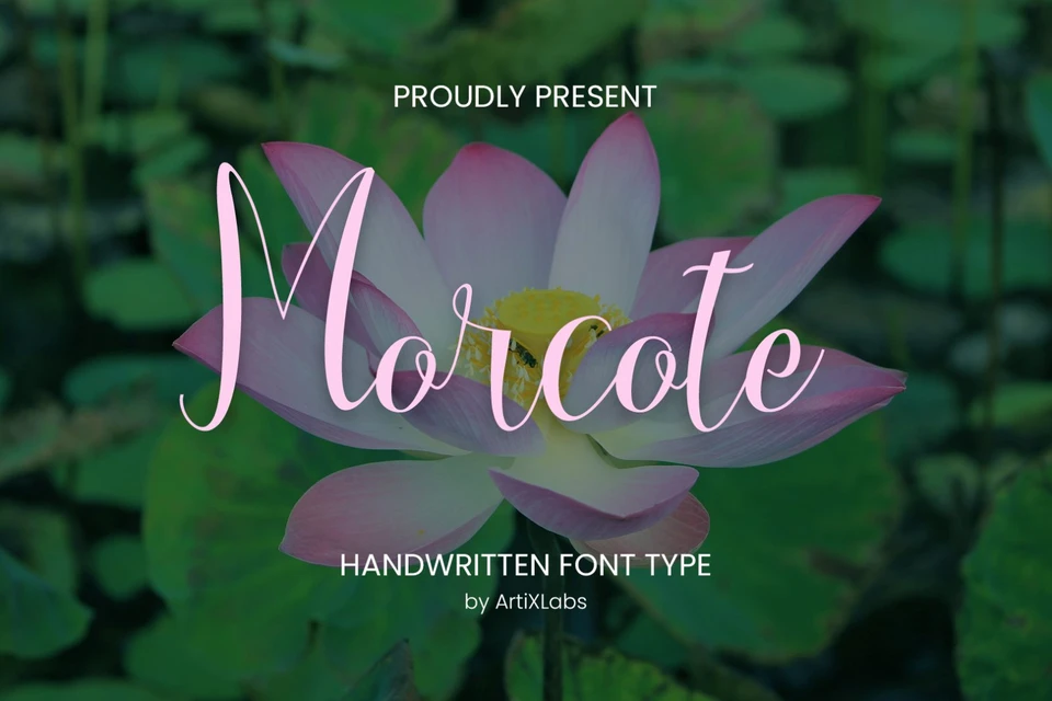 Morcote Script Handwritting