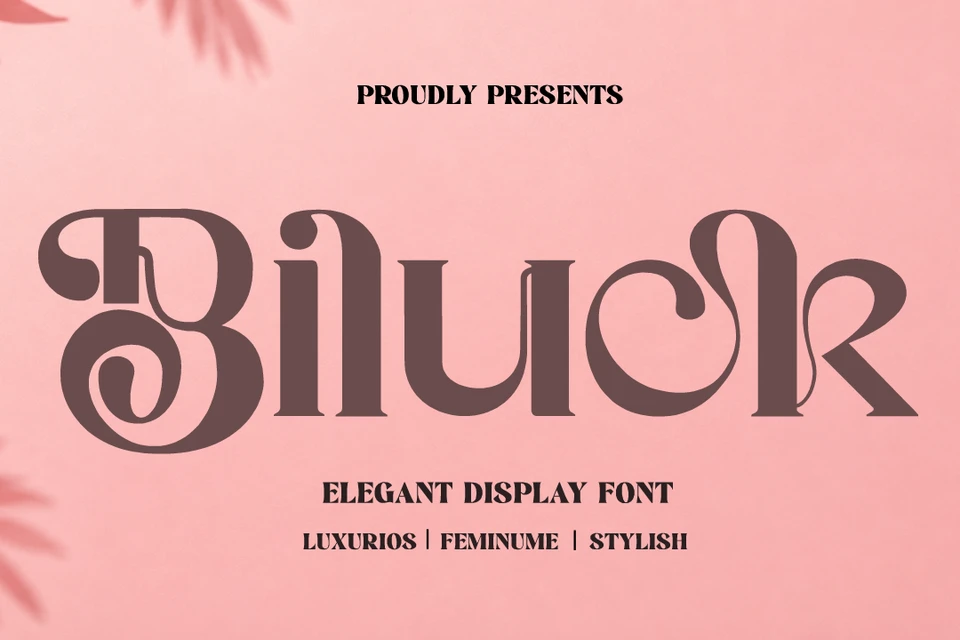 Biluck