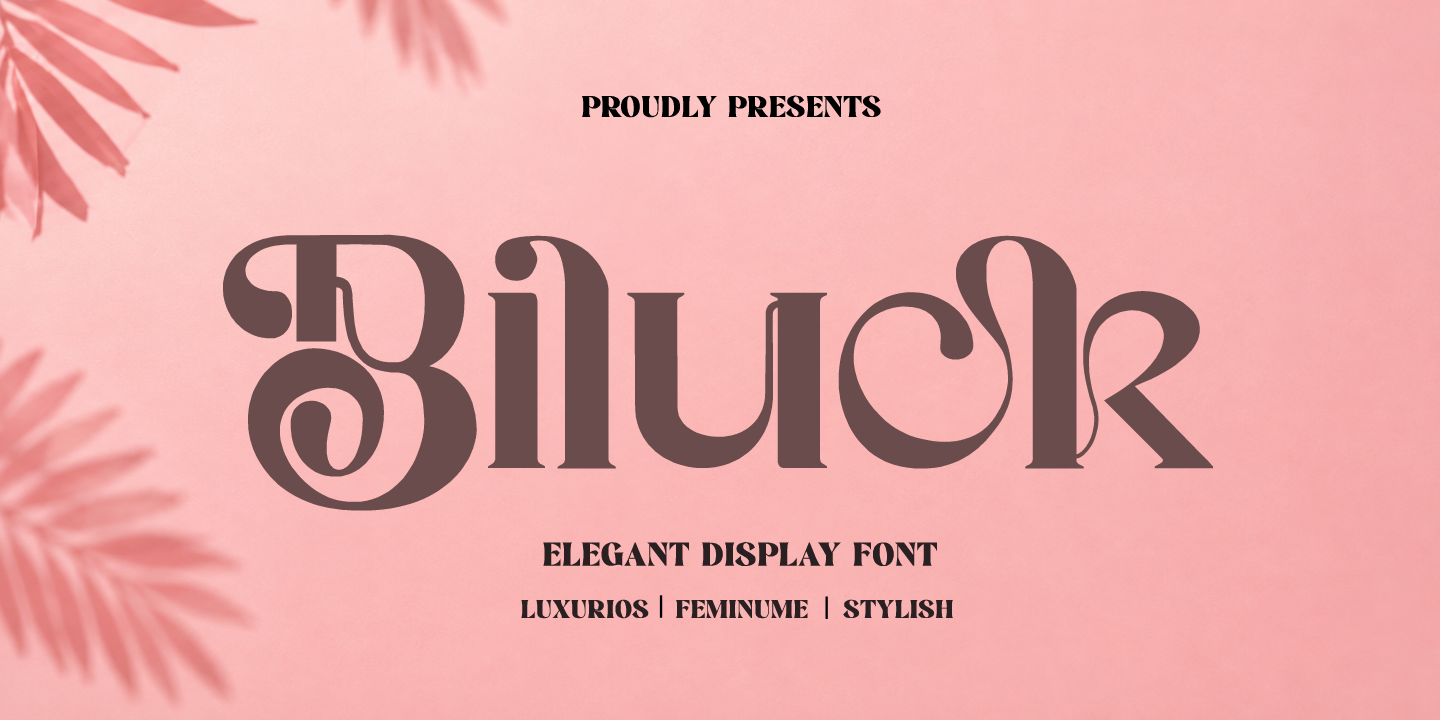 Biluck — image 1