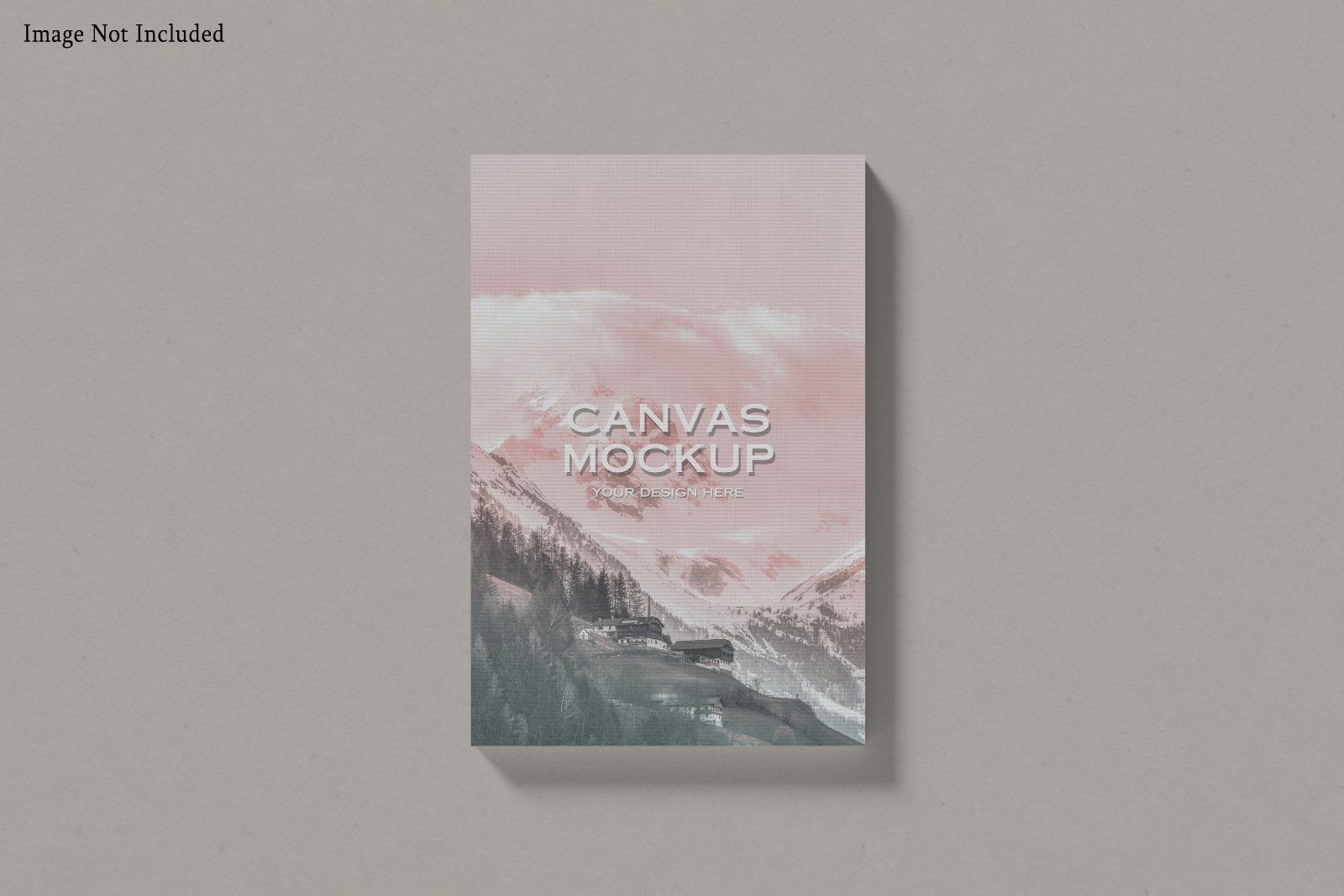 Canvas Mockup — image 1