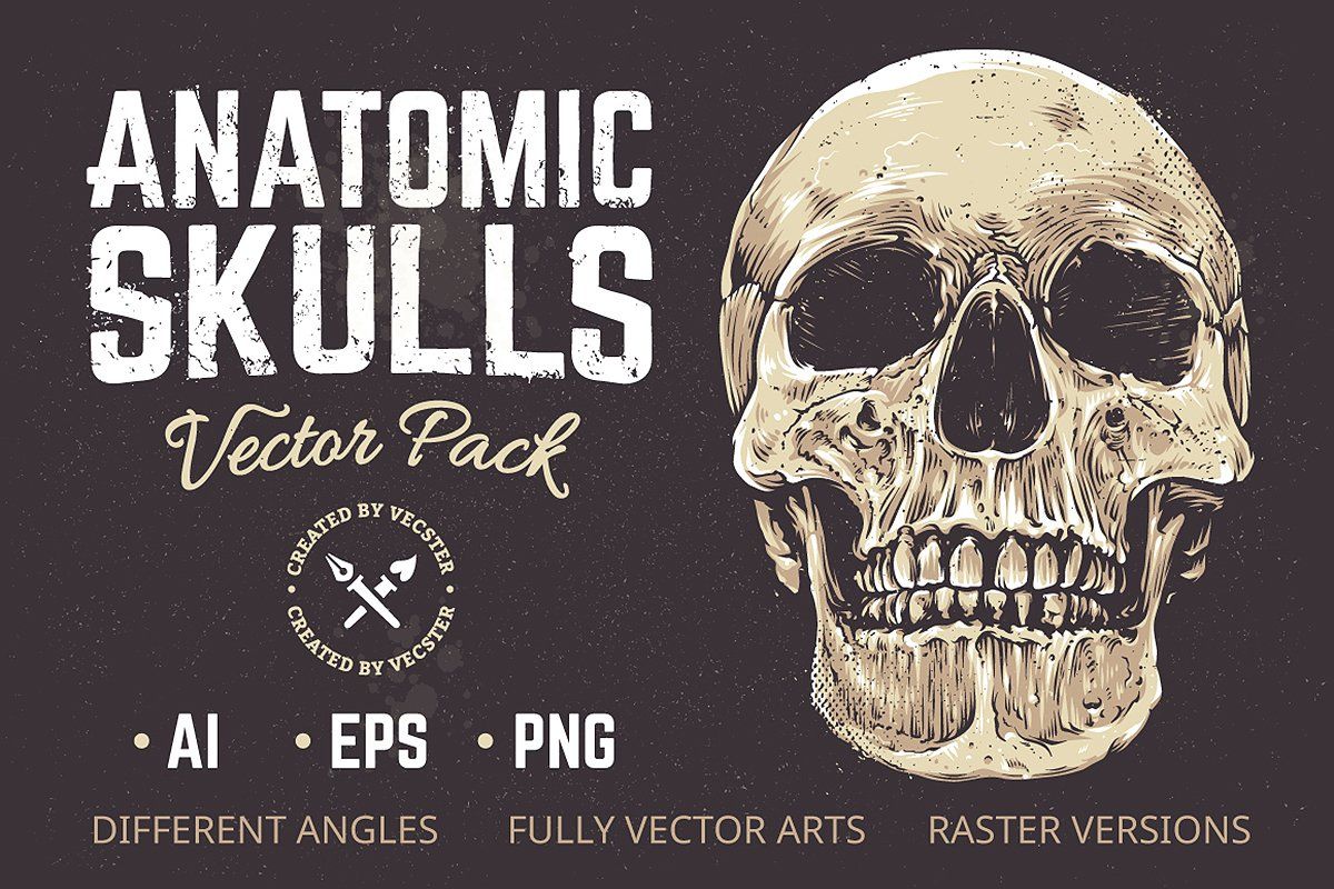 Anatomic Skulls Vector Pack