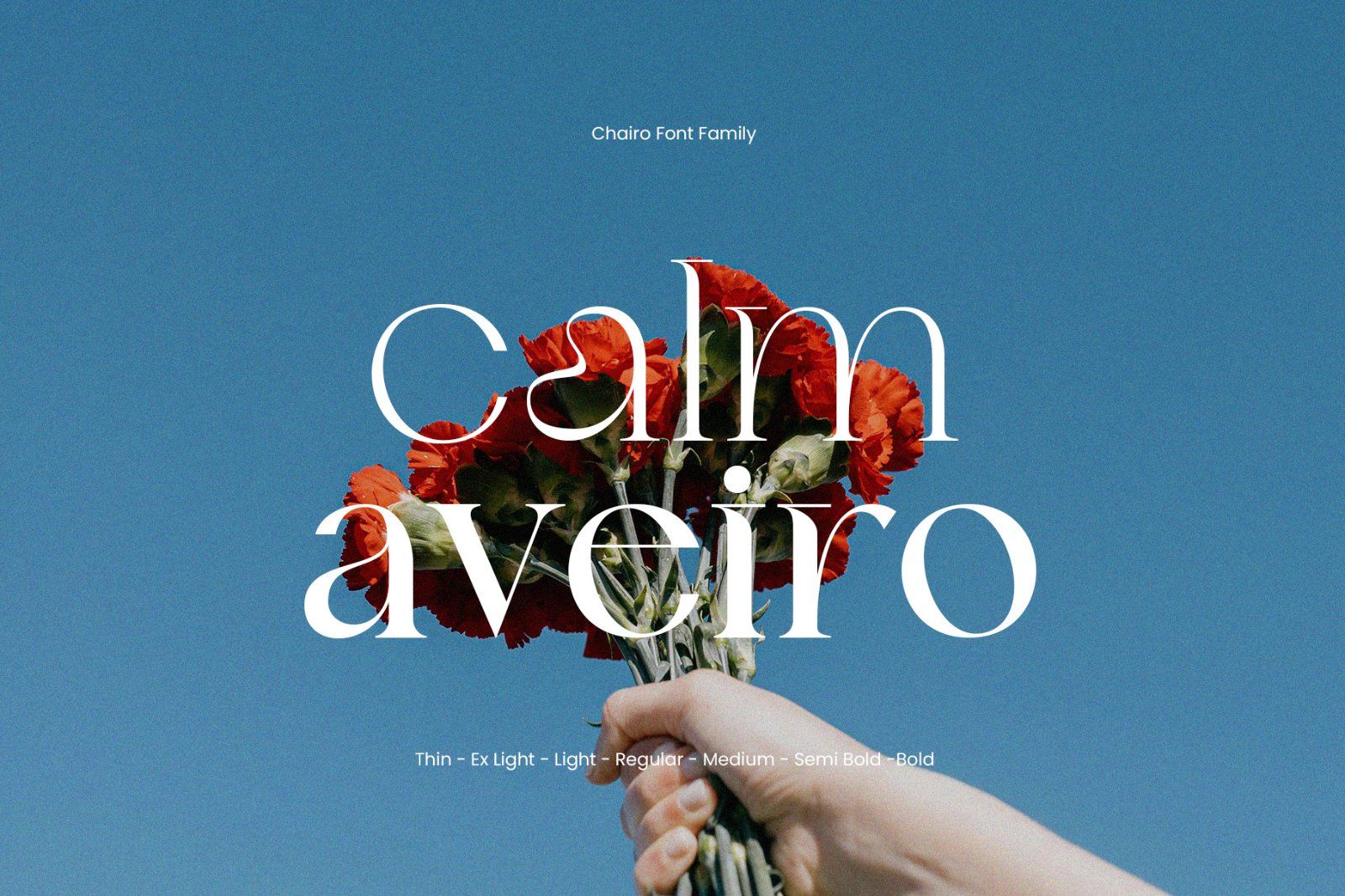 Chairo | Editorial Serif Font Family