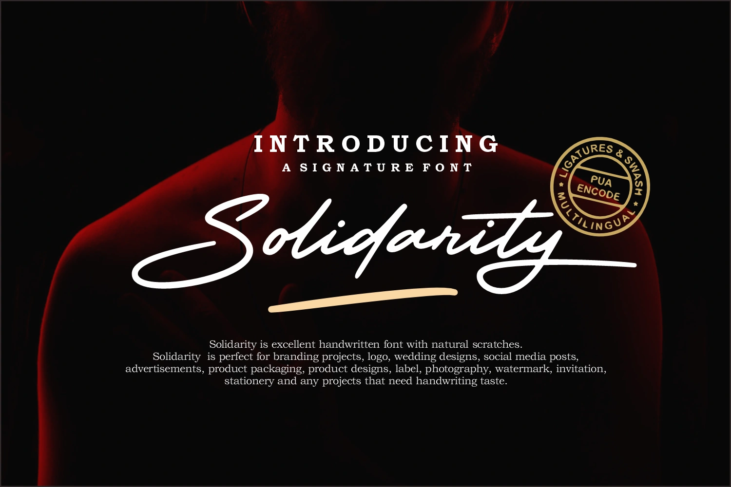 Solidarity — image 1