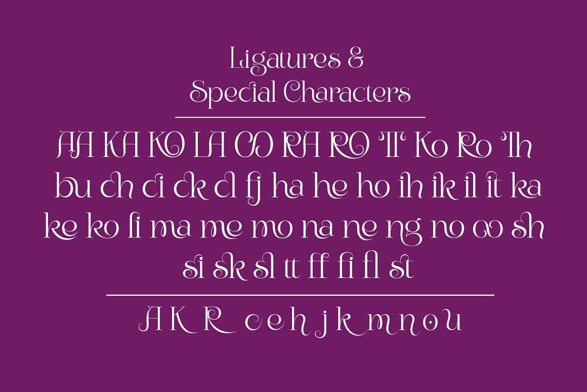 Bunga - Romantic Font — image 10