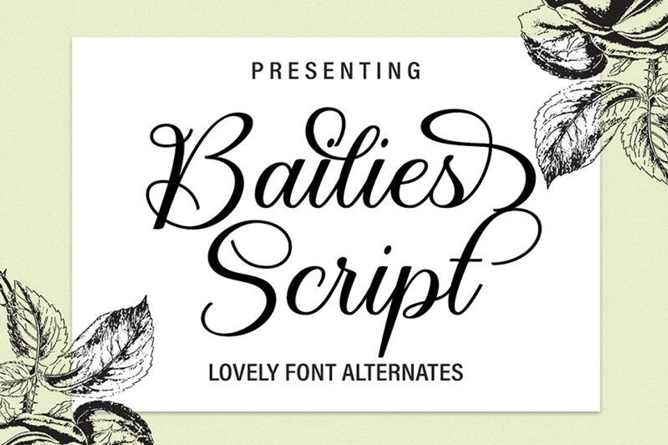 Bailies Script