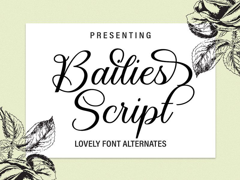 Bailies Script