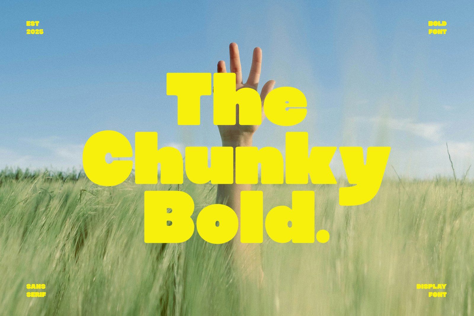 Sugra | Bold Display Sans Serif Font