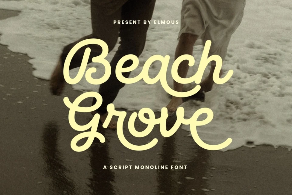 Beach Grove - Script Monoline Font