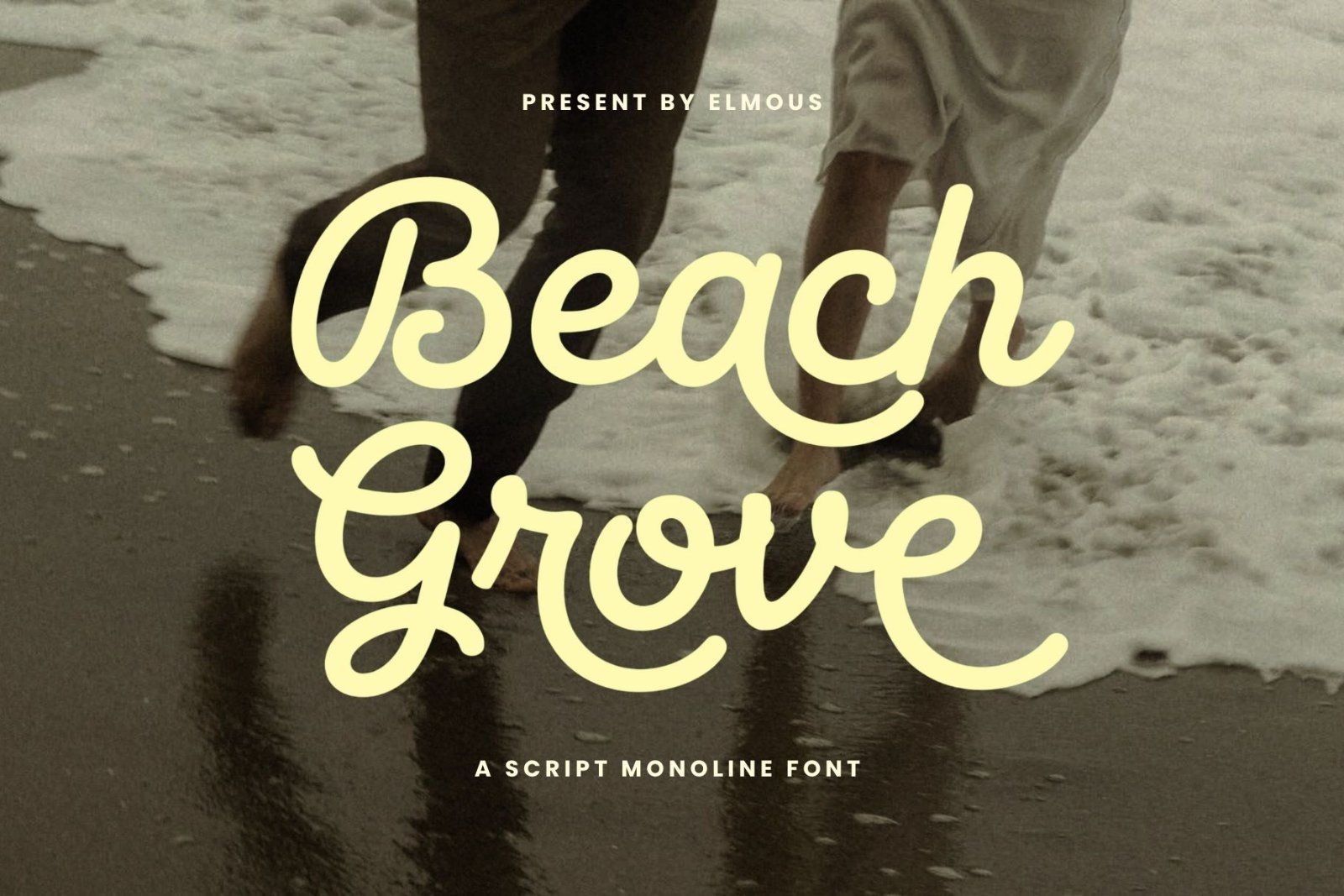 Beach Grove - Script Monoline Font — image 1