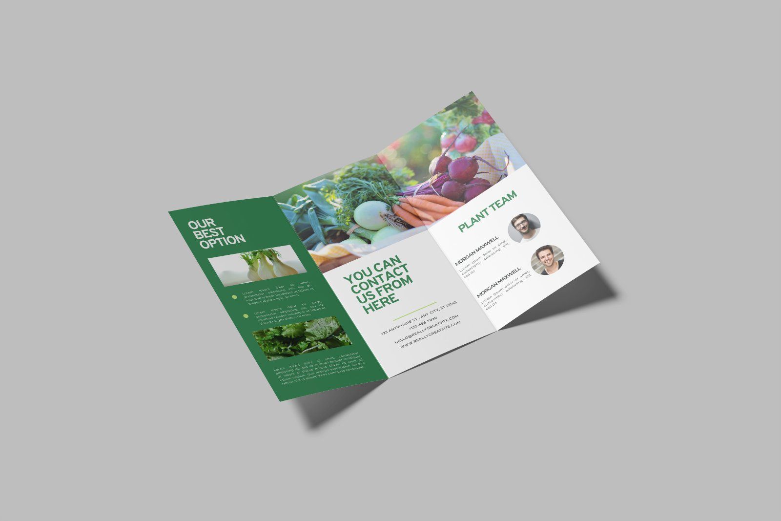 Trifold Brochure Mockup — image 2