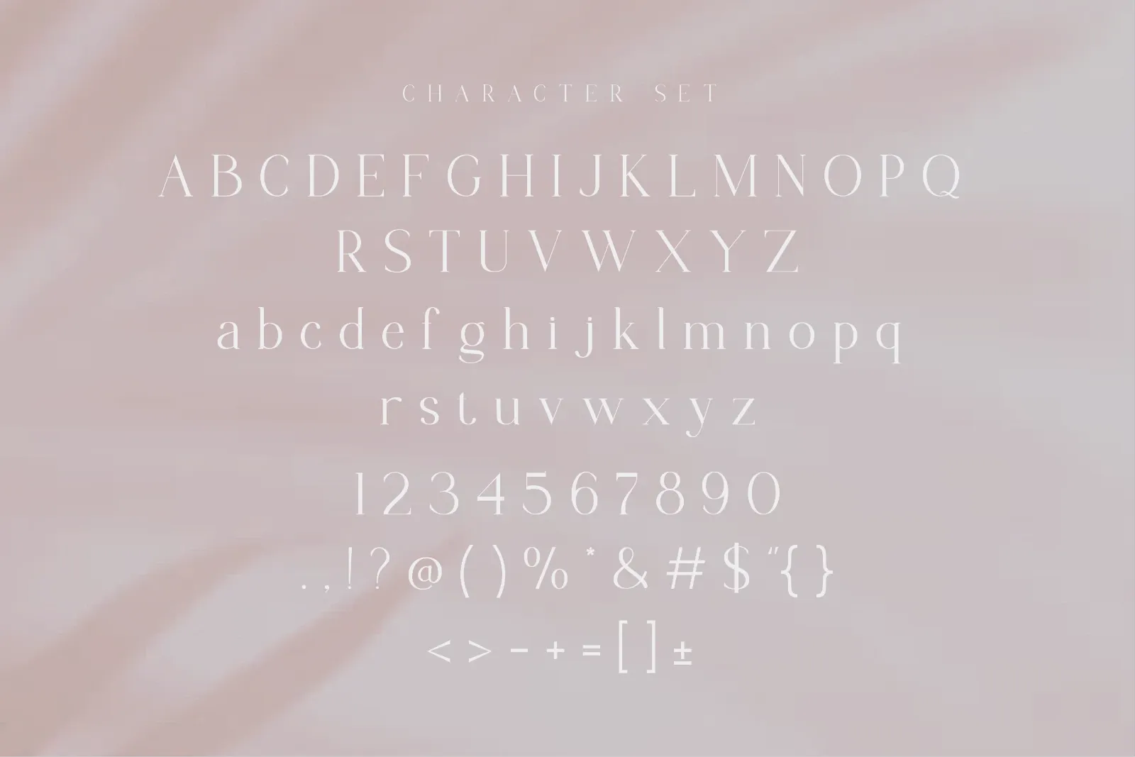 Chanley - Modern Serif Font — image 10