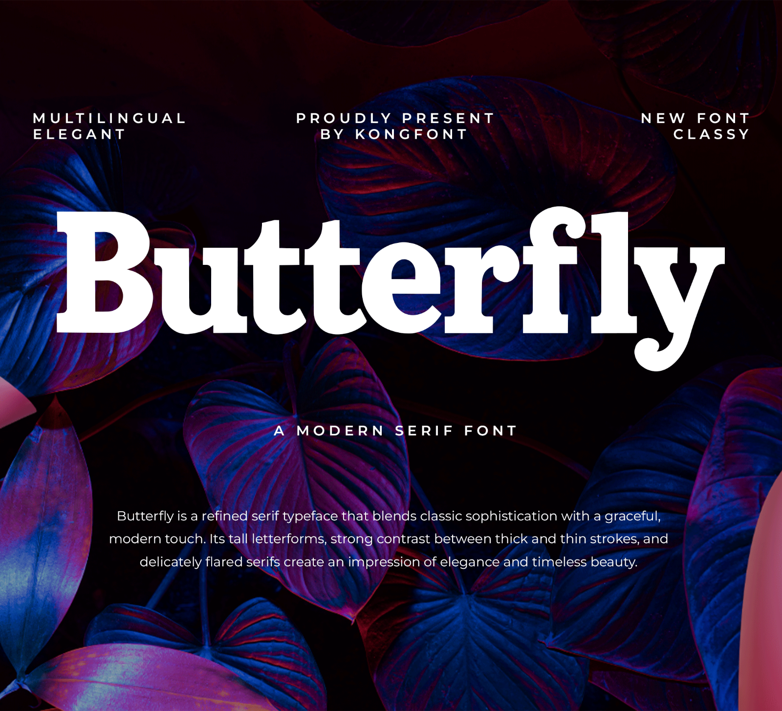 Butterfly – Modern Classy Bold Serif Font — image 1