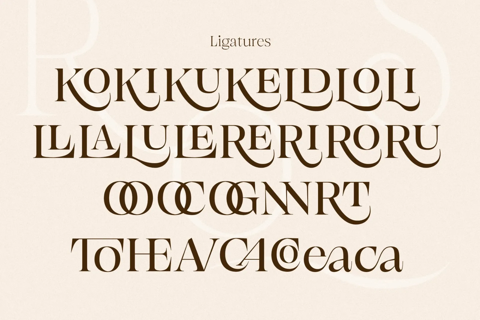 Browne de Calvin | Luxury Serif Typeface — image 10