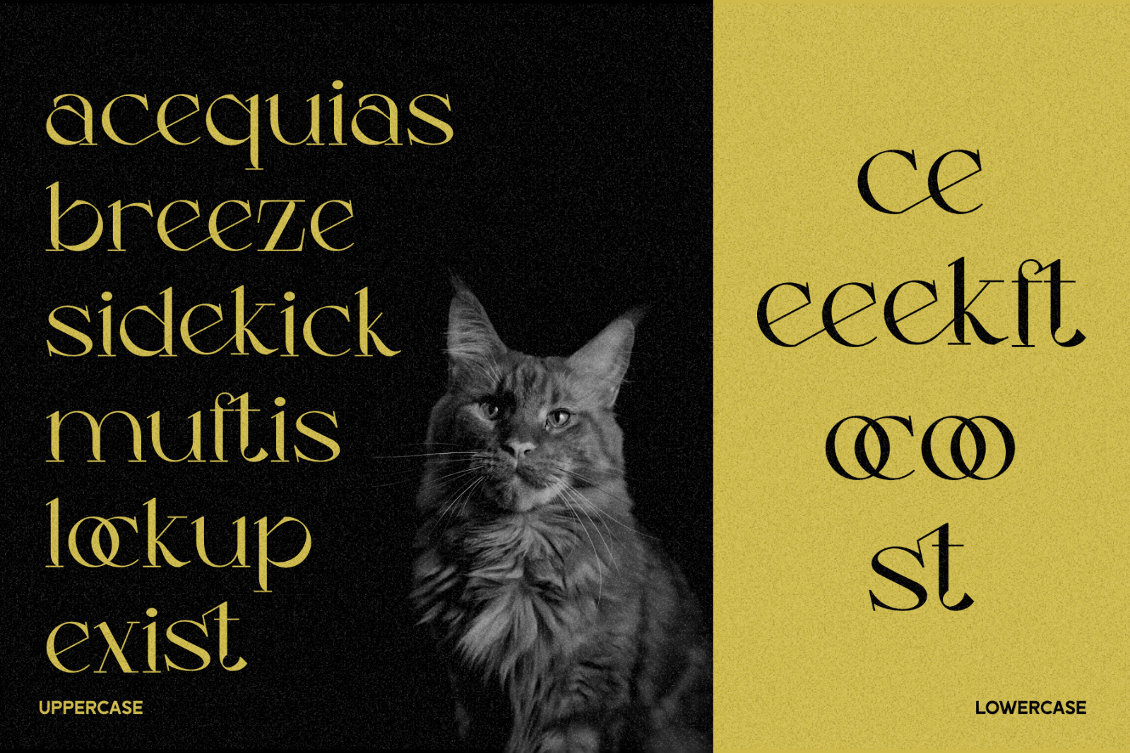 Luncat - Font