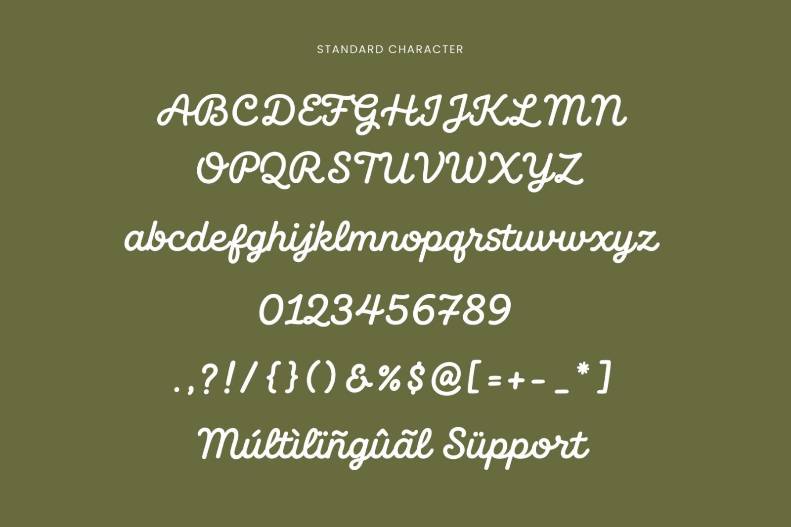 Beach Grove - Script Monoline Font — image 10