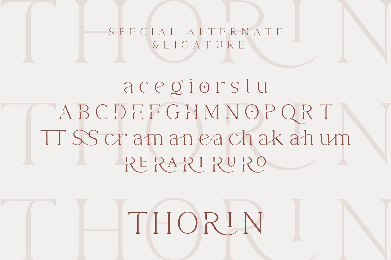 Thorin - Modern Serif Font — image 10