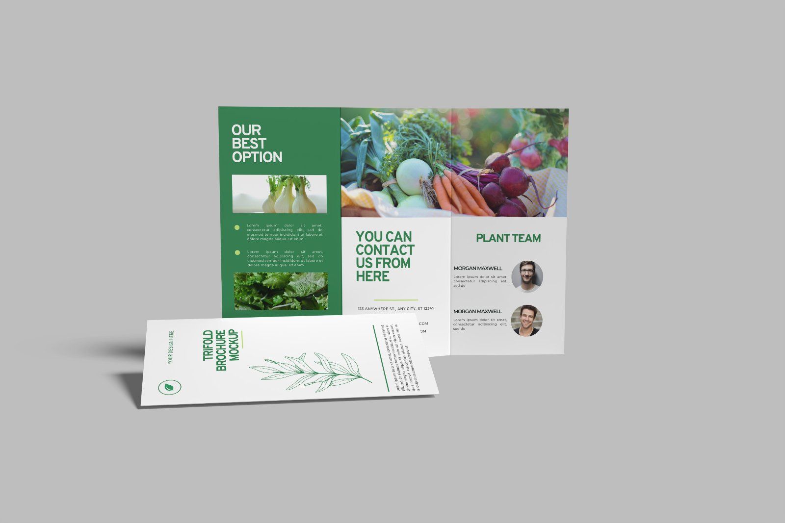 Trifold Brochure Mockup — image 10