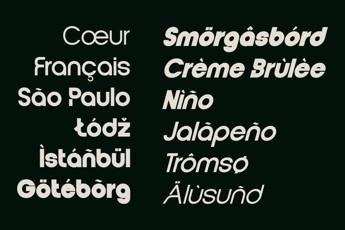 Vernosa - Contemporary Variable Sans Serif Font Family — image 10