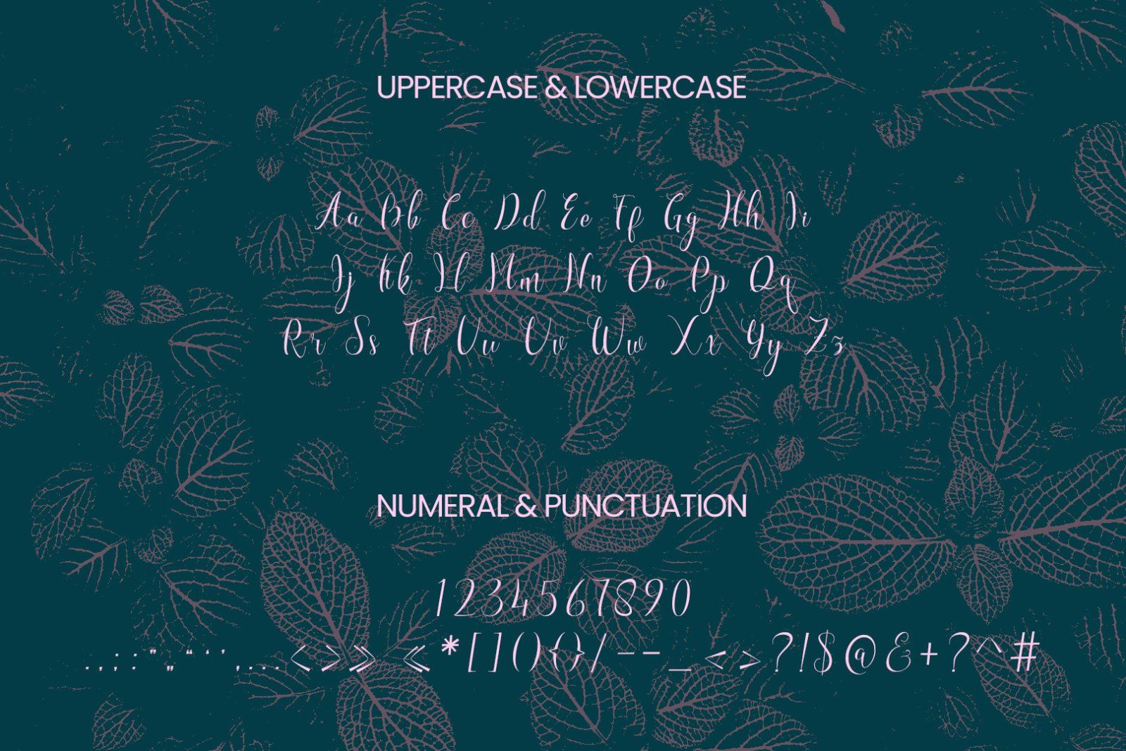 Morcote Script Handwritting — image 10