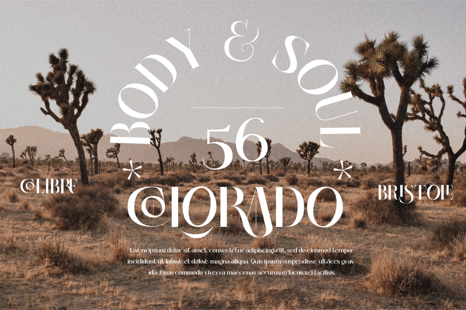 Colibre Bristole Pro | Serif Font